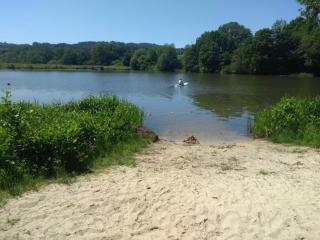 Seminar- & Gasthaus am Waldsee - 3