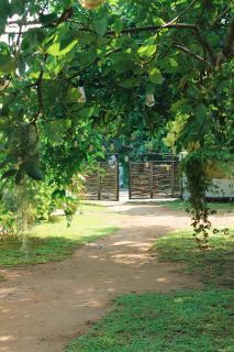 Solmate Collective Hostel - Madiha - Matara - 4