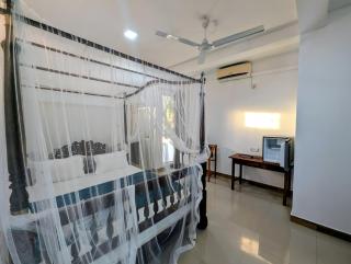 Costels Coconut hill - 4