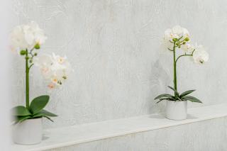 Casa Bella Apartments - 7