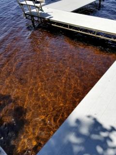 Log Cabin Elegance: Your Private Haven on 5 Acres of Hazelhurst Waterfront - 6