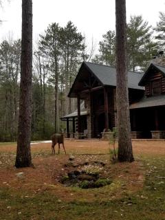 Log Cabin Elegance: Your Private Haven on 5 Acres of Hazelhurst Waterfront - 3