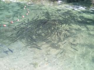 Bio Pfister Trade Gmbh - 4