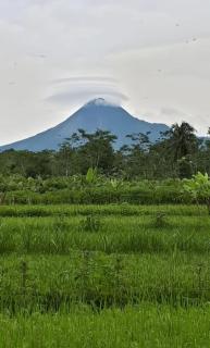 Spacious traditional open house with Garden&Pool 4 Bedrooms - 8