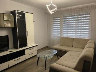 Big apartment for four - 8