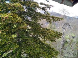 Studio en montagne, Mercantour - 2