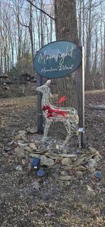 Charming Cabin with Spa and Mountain Views in Sevierville, Tennessee - 1