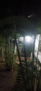 Yala Tropical Lodge - 3