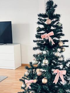 Alexander Home with parking and terrace - 9