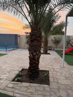 شالية السحاب - 8