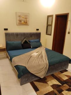 Luxury apartments in Model Colony - 9