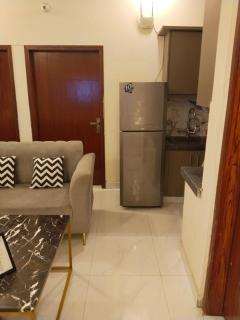 Luxury apartments in Model Colony - 8