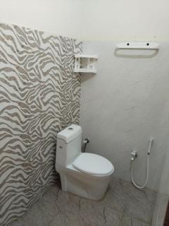 Luxury apartments in Model Colony - 3