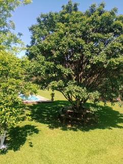 Sítio do Berger - 1