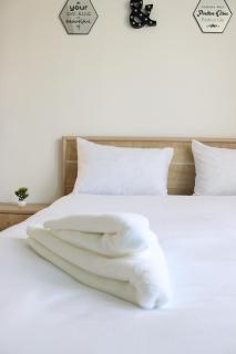 Domel Moskovyan 28 - 8