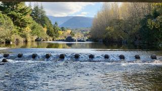 MONTE CABAÑA San Clemente - 0