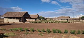 Osutua Rafiki Camp Ltd - 0