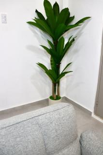 Modern 2BR Escape 5 Min walk to Nikki BEACH - Oranjestad - 1