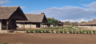 Osutua Rafiki Camp Ltd - 6