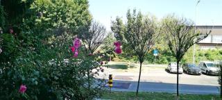 Schöne Neu Renovierte Wohnung In Der Nähe Des Zentrums - 1