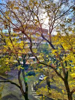 Apartmán Kukorelli - 6