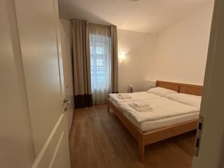 Vip Prague Apartments Petrska 25 - 9