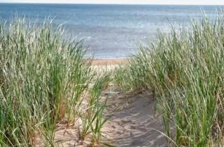 Summer By The Sea Beach House - 5