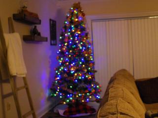 Bear Hug Hideaway #368 - 2