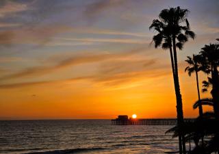 501P-12 Spectacular Ocean Views Pet Friendly - 8