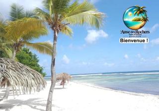 Appartement charmant à Saint-François, 22 m², piscine - 3