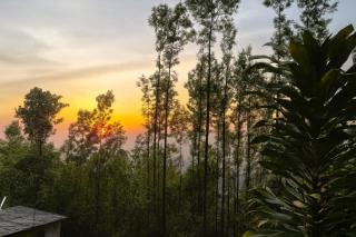 HolidayZ by Stayz Royale in Yercaud - Misty Woody Stay - 1