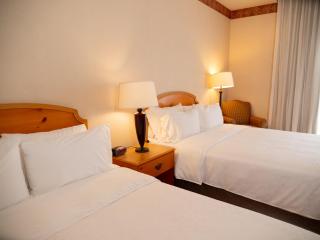 Holiday Inn Express Silao-Aeropuerto Bajio by IHG - 6