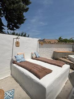 La Salamandre de l Olivier - Le Magnolia - 4