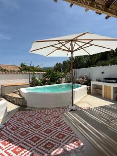 La Salamandre de l Olivier - Le Magnolia - 5