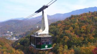 Majestic Lodge at Reedmont - 4