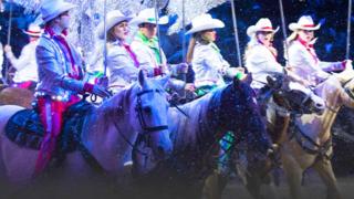 Majestic Lodge at Reedmont - 2