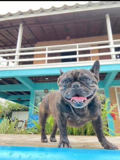 Pousada Orquídeas do Guarujá - 1