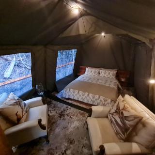 Squirrels Rest Treetop Glamping - 1