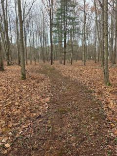 New Home with Game Room and Nature Trails in Port Huron - 7