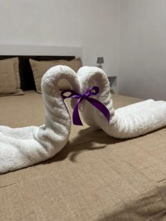 Peçi Apartments Gjirokastër - 8