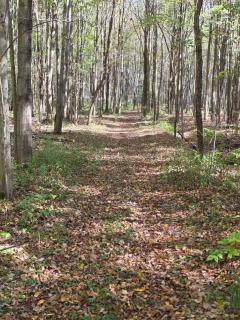 New Home with Game Room and Nature Trails in Port Huron - 4