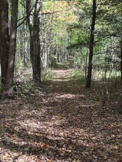 New Home with Game Room and Nature Trails in Port Huron - 3