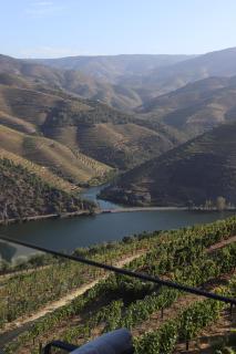 Quinta Vale de Lobos - 9