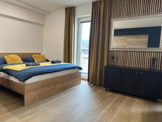 Penthouse CityView with sauna - 6