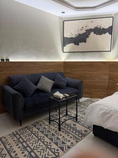 استيديو فاخر بدخول ذاتي - 9