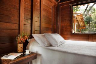 Casa Raul Macacos Suíte - 4