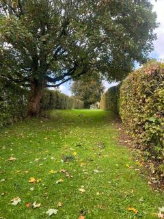 Le Nid d'à côté - 1