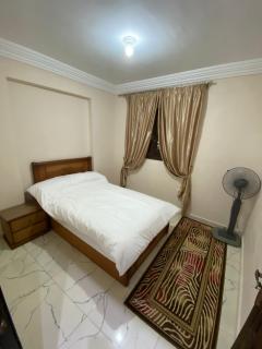 ميامى هايتس - Alexandrië - 3