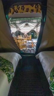 The Tree Top Village Urban Glamping - 4