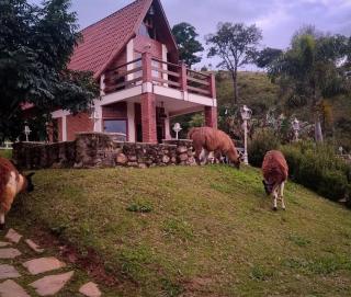 Chalé Pousada Finca dos Anjos - 1